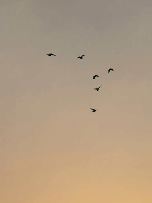 Poem ~ Liberating myself