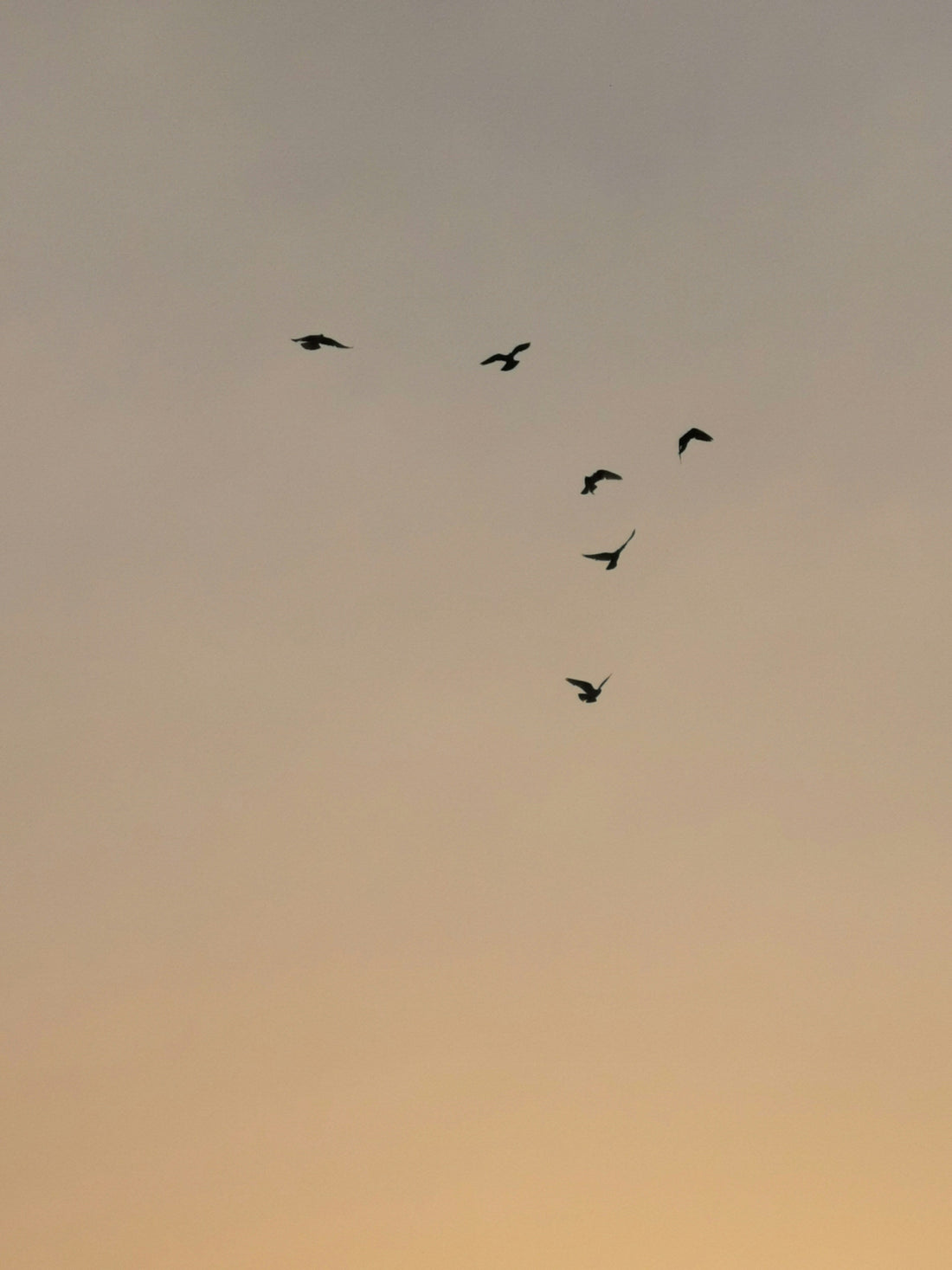 Poem ~ Liberating myself