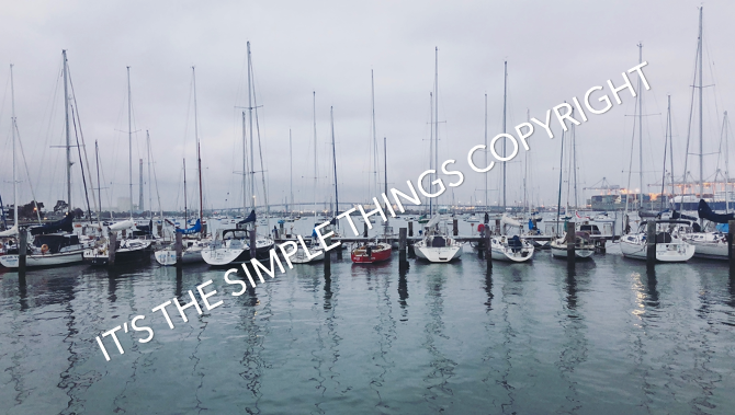 "As the Boats' Sail" Photo