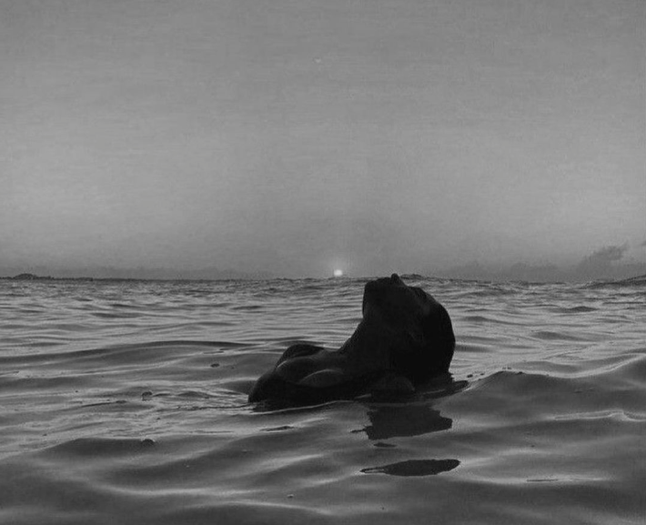 Finding Yourself